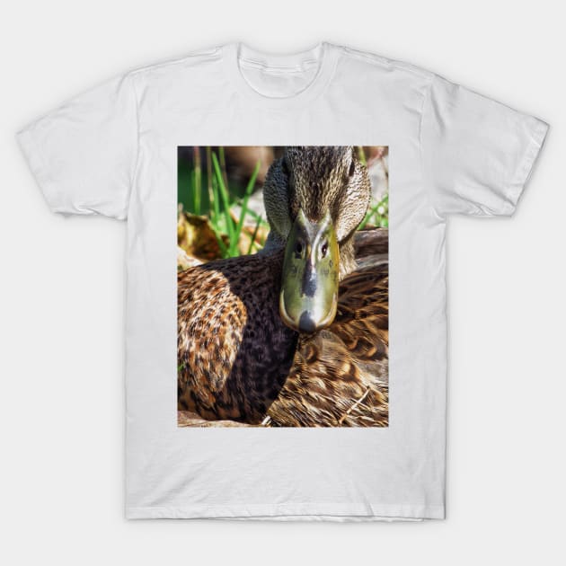 Who are you looking at T-Shirt by Photography_fan